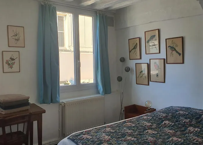 Maison Hypercentre Rouen Tout Confort